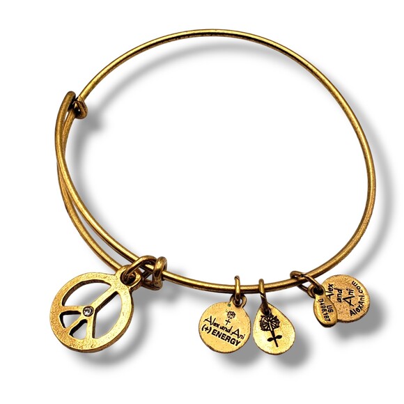 Alex and Ani Gold Tone World Peace Rafaelian Bangle Bracelet - Picture 1 of 9
